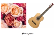 Fête de la musique